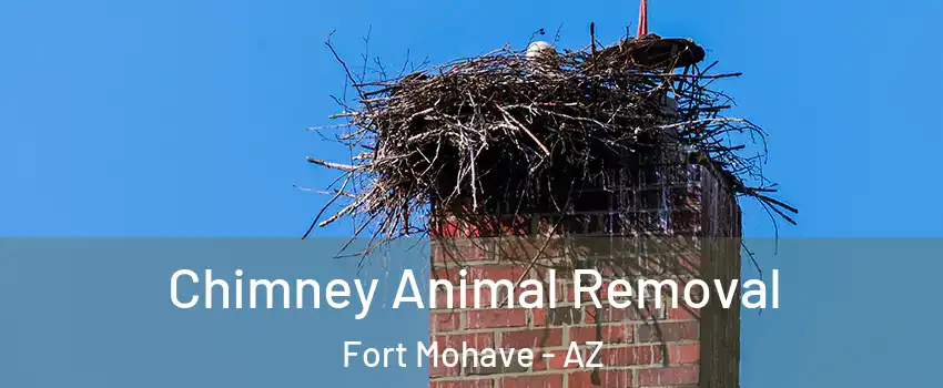  Chimney Animal Removal Fort Mohave - AZ
