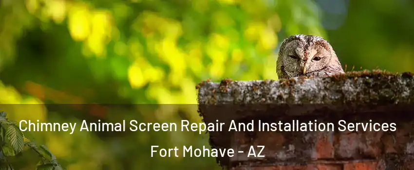  Chimney Animal Screen Repair And Installation Services Fort Mohave - AZ