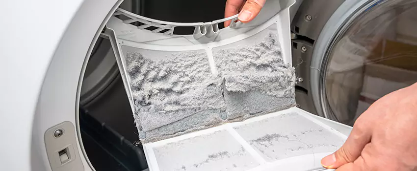 Best Dryer Lint Removal Company in Fort Mohave, Arizona